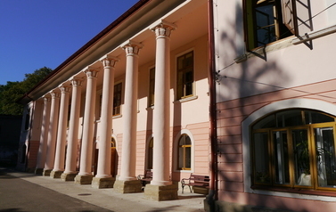 Zesp&oacute;ł parkowo - pałacowy Bylickich w Żyznowie