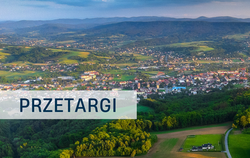 Zdjęcie do Burmistrz Strzyżowa ogłasza drugi przetarg ustny...