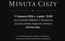 Zdjęcie do Pamięć o ofiarach tragicznego wypadku na Węgrzech