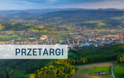 Zdjęcie do BURMISTRZ STRZYŻOWA OGŁASZA PIERWSZY PRZETARG...