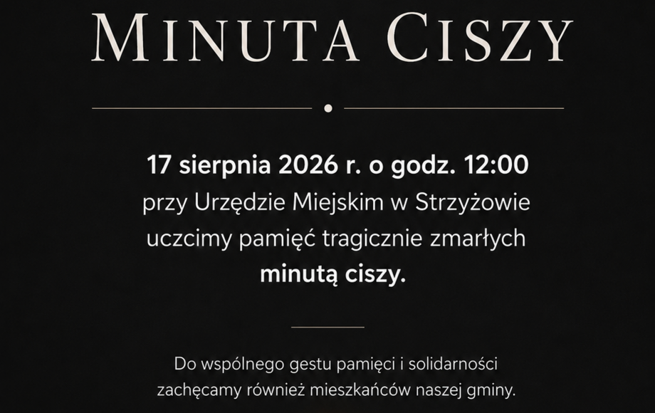 Zdjęcie do Pamięć o ofiarach tragicznego wypadku na Węgrzech