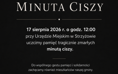 Zdjęcie do Pamięć o ofiarach tragicznego wypadku na Węgrzech