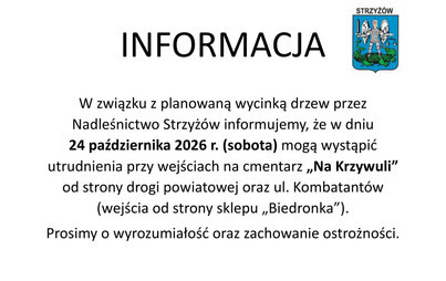 Zdjęcie do Planowana wycinka drzew na Cmentarzu "Na Krzywuli"